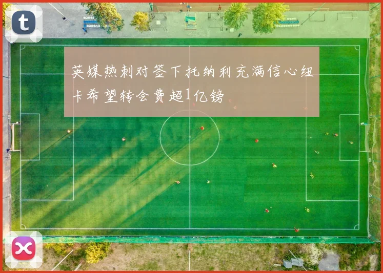 英媒热刺对签下托纳利充满信心纽卡希望转会费超1亿镑